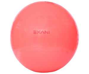 Exani gymball 65cm - Hjemmetrening